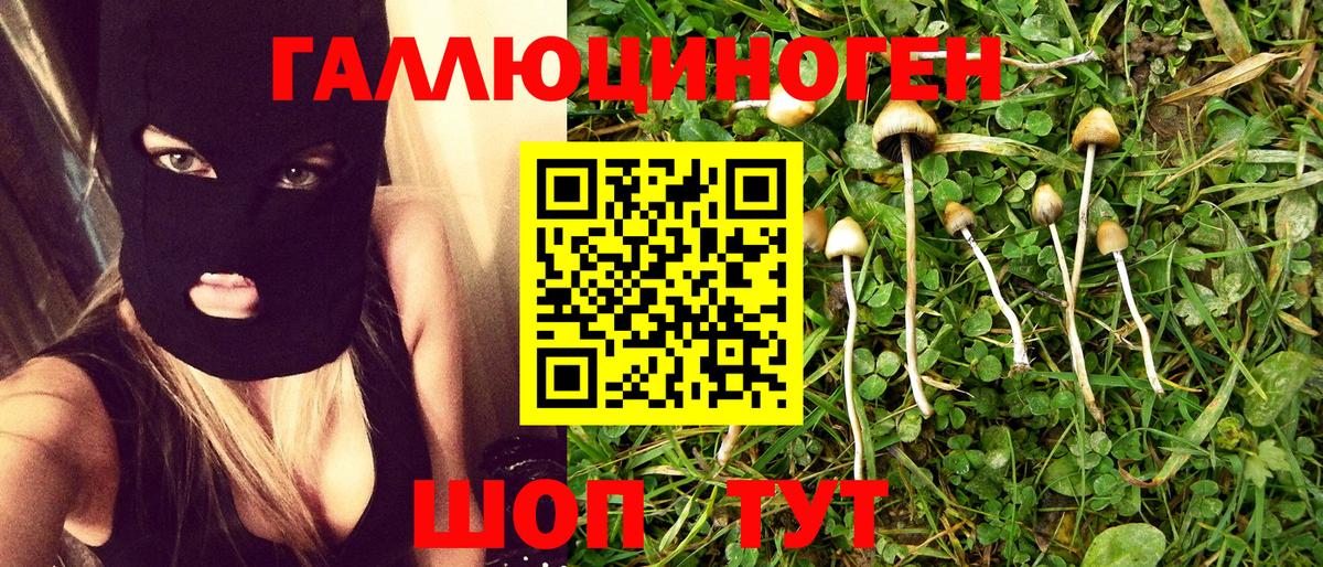 Псилоцибиновые грибы мухоморы  Вход с VPN  Петровск  Галлюциногенные грибы Magic Shrooms 