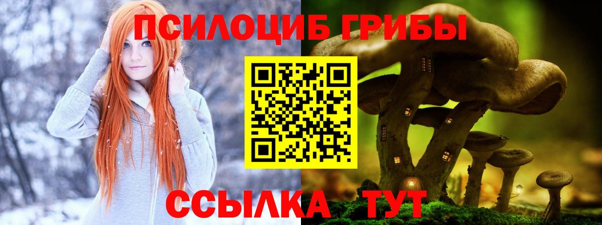 Галлюциногенные грибы Cubensis Петровск